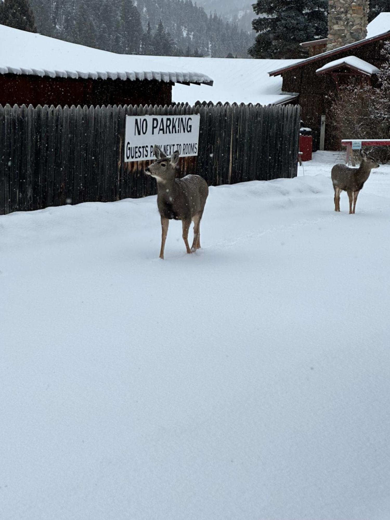 Deer Lodge Red River Kültér fotó