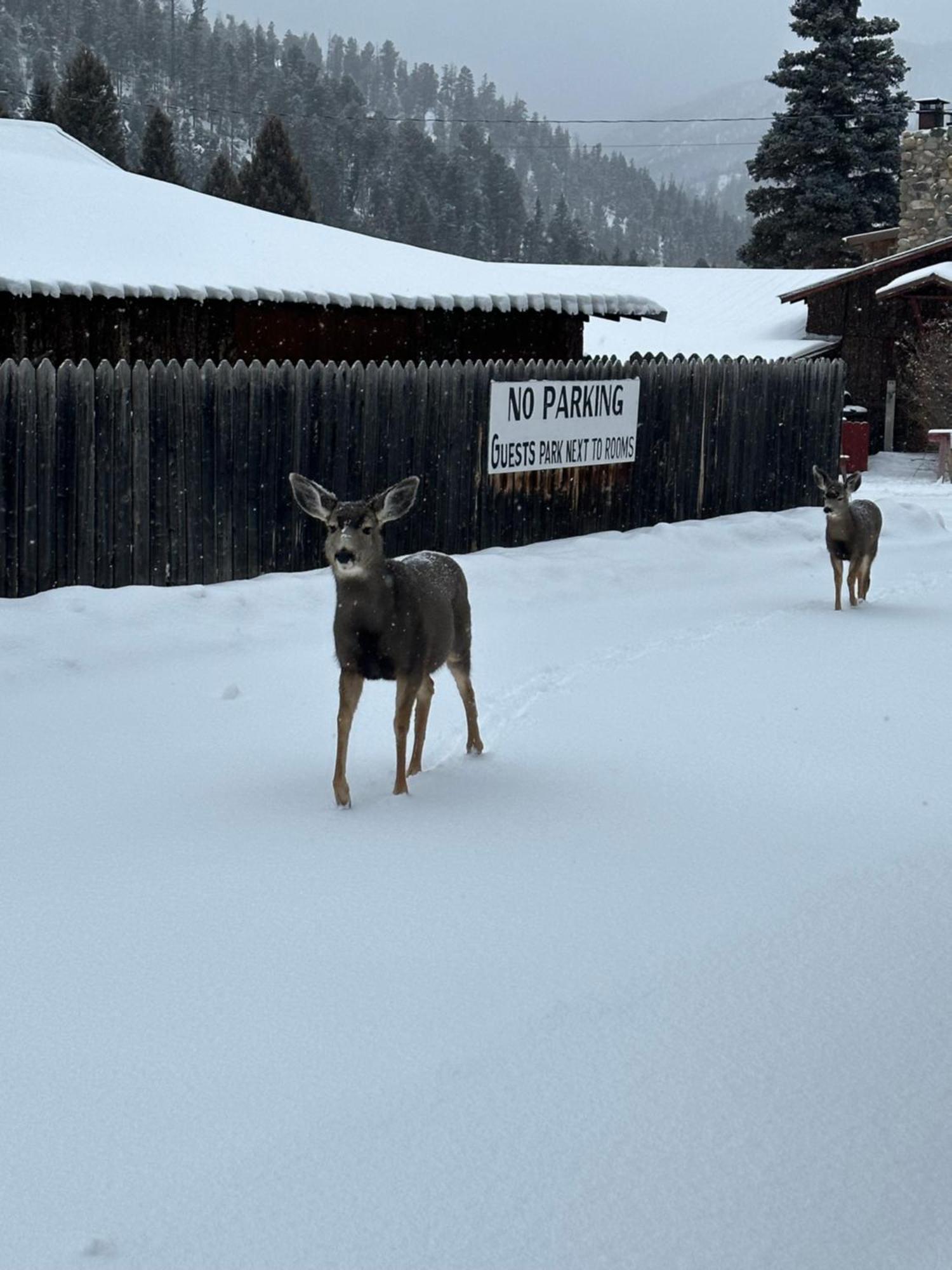 Deer Lodge Red River Kültér fotó